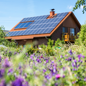 Image of a cabin with solar panels to power the home without being attached to the electrical grid.